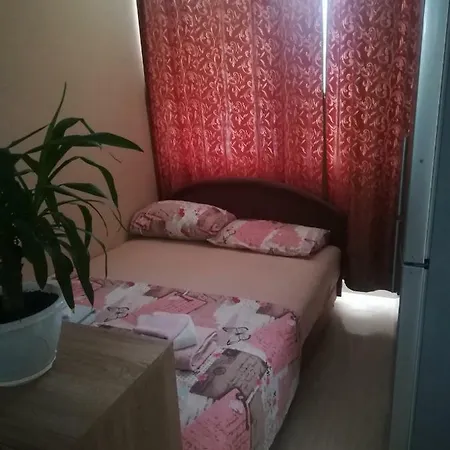 Vis Jaz * Budua